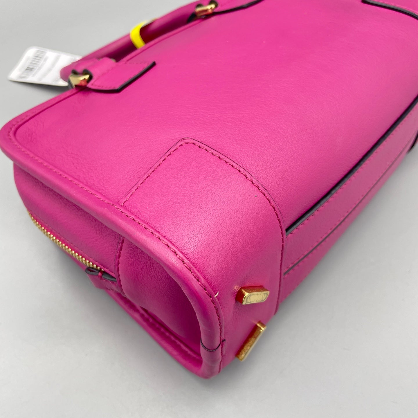 Loewe - Amazona - Grained leather - Fuchsia Pink with Gold-Tone Hardware - (mini)