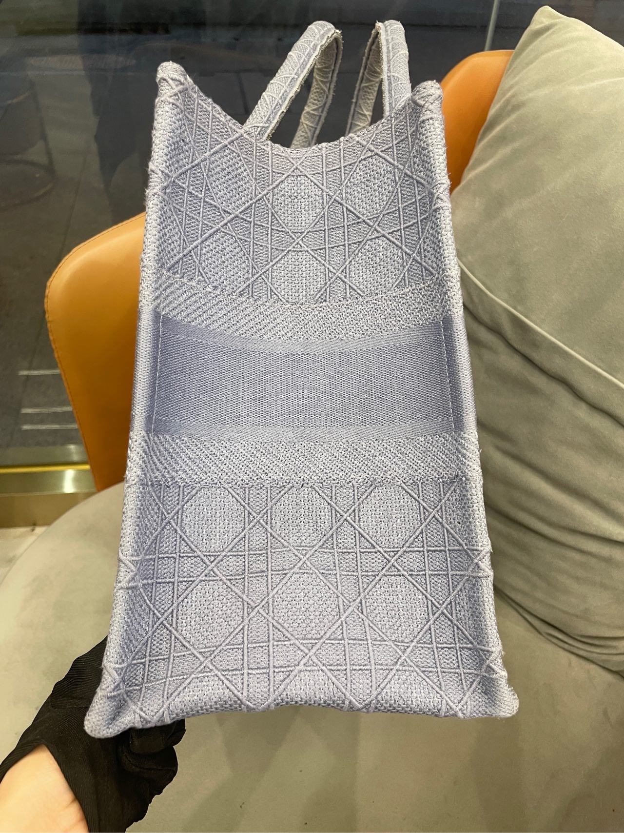 Dior - Book Tote - Embroidered technical fabric - Haze Blue - (Medium)