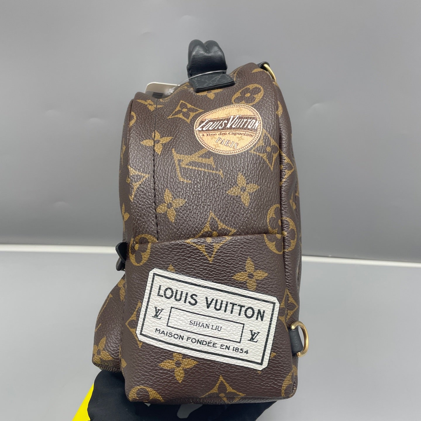 Louis Vuitton - Palm Springs Mini Backpack - Monogram coated canvas with leather trim - Brown - (mini)