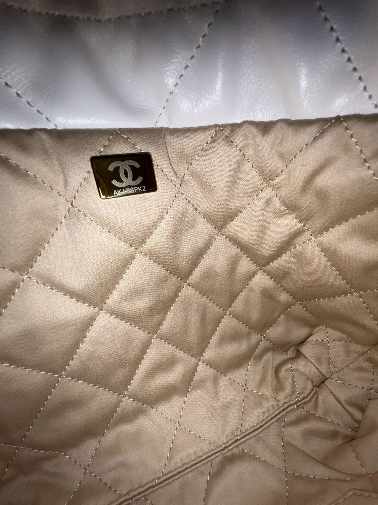 Chanel - 22 Bag Mini - Calfskin leather - White with Gold-Tone Hardware - (Mini)