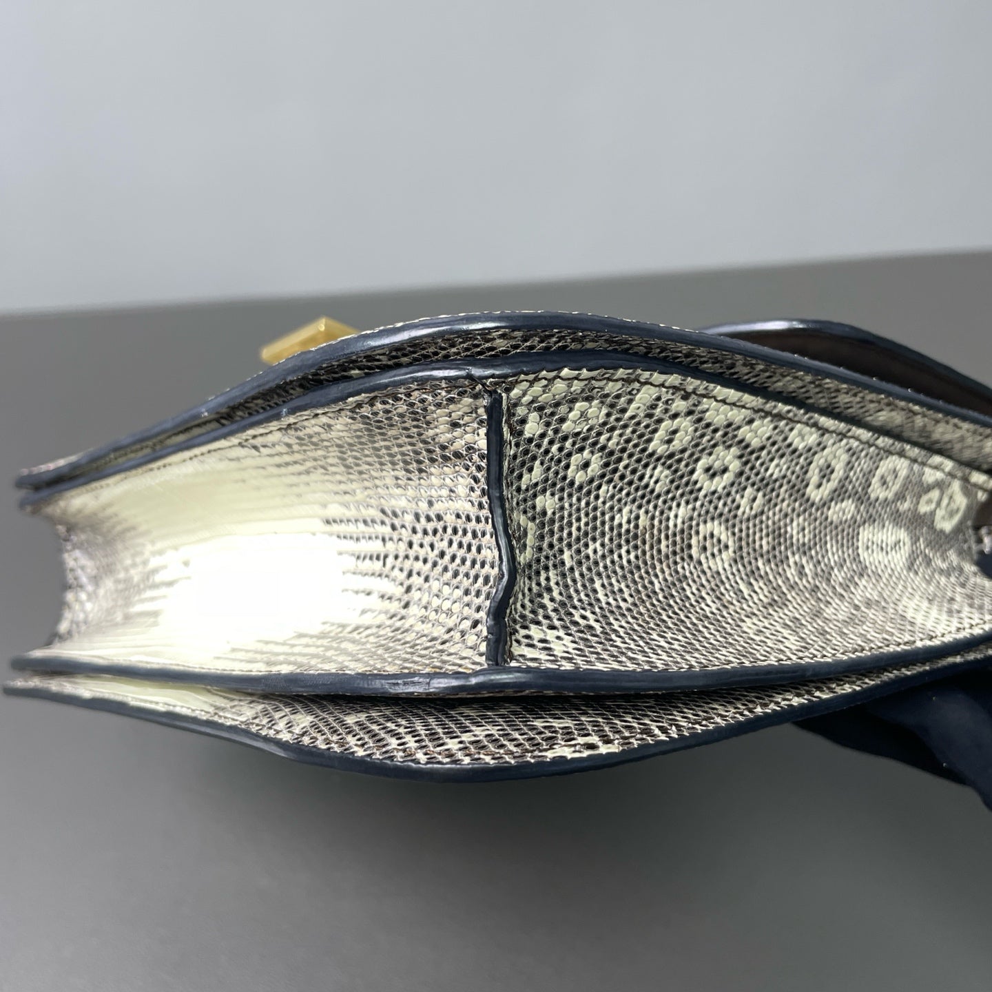 Celine - Box Bag - Lizard Leather - White and Grey - (Small)