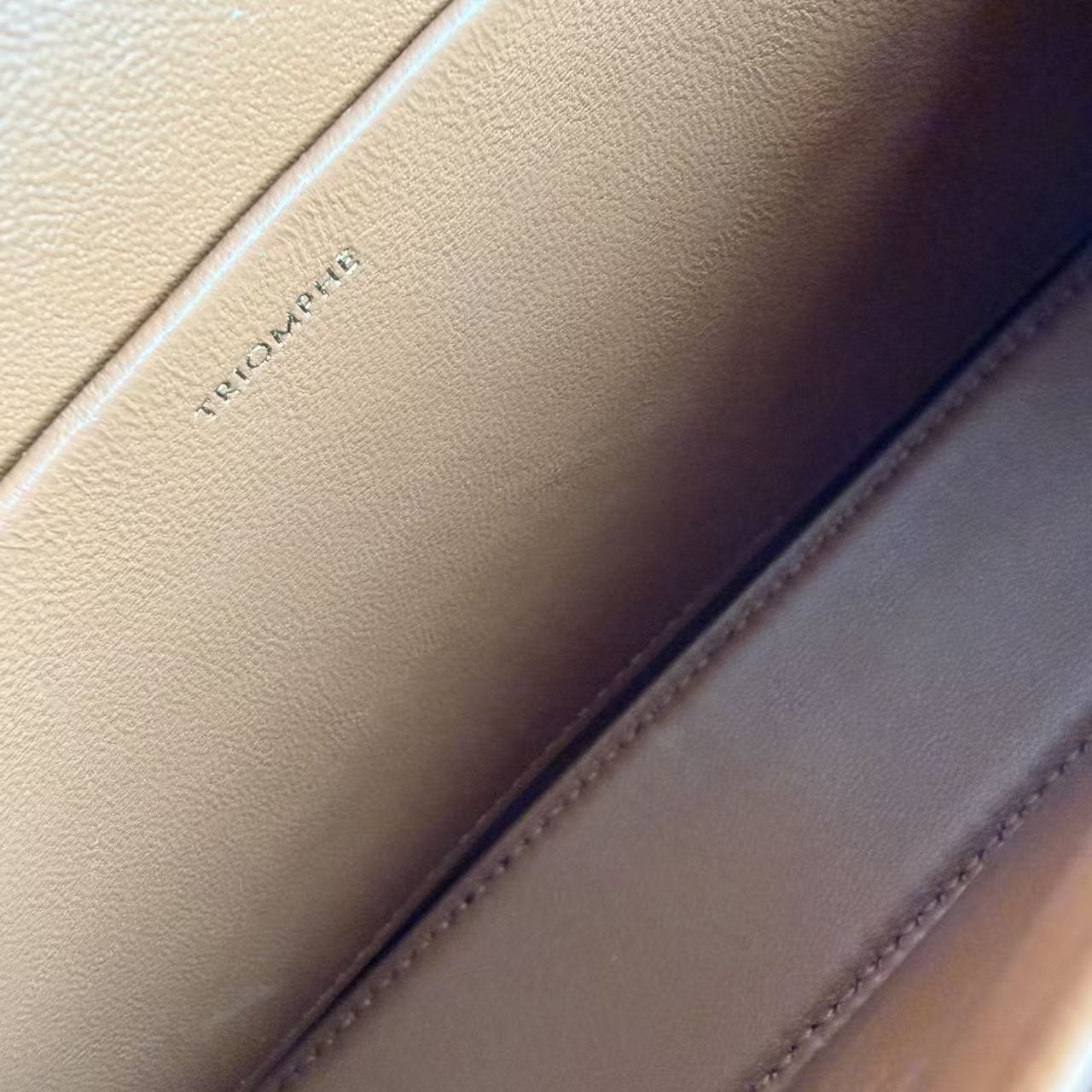 Celine - Other - Triomphe Canvas with leather trim - Brown with Gold-Tone Hardware - (mini)