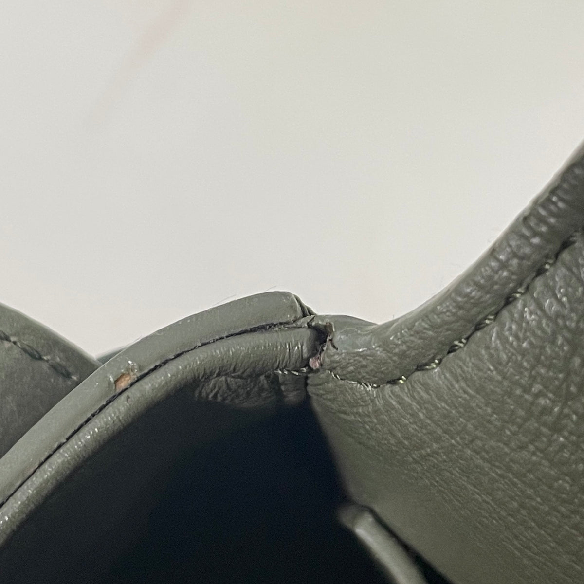 Celine - Triomphe - Leather - Green