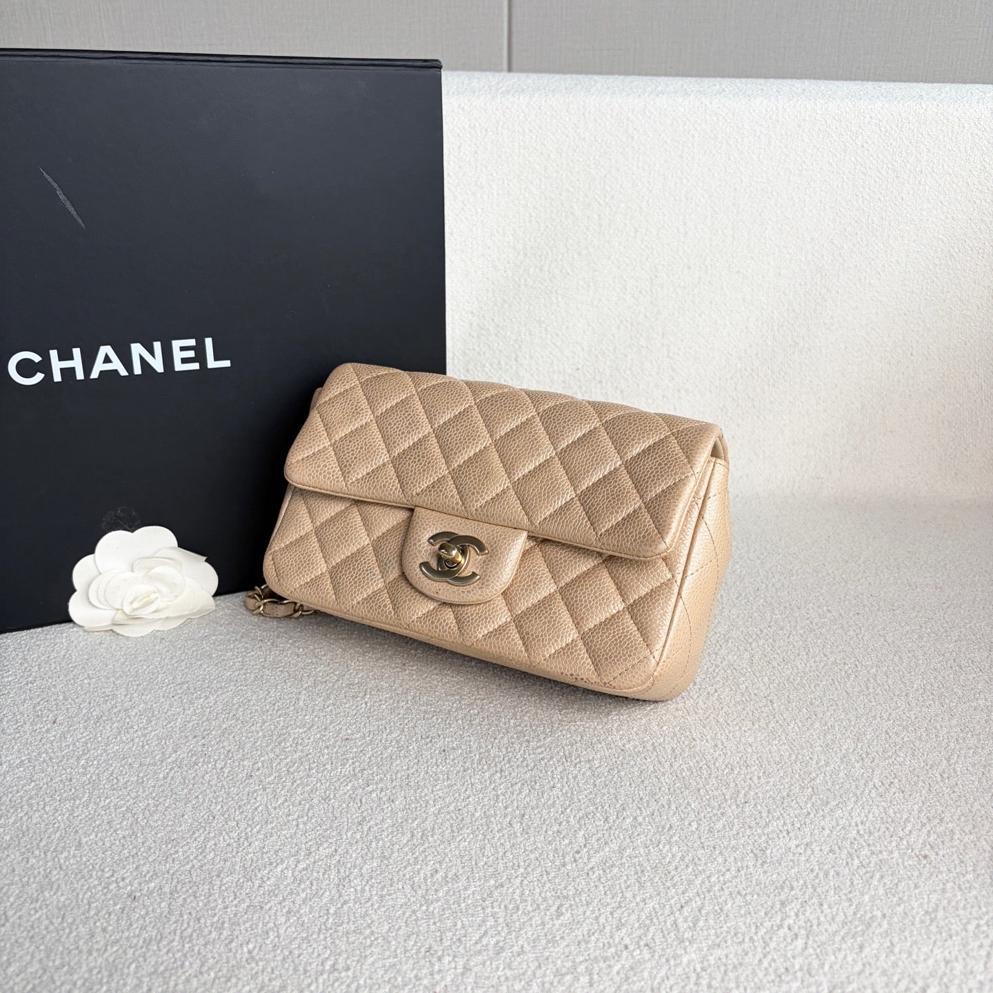 Chanel - Timeless/Classique - Leather - Beige - (mini)