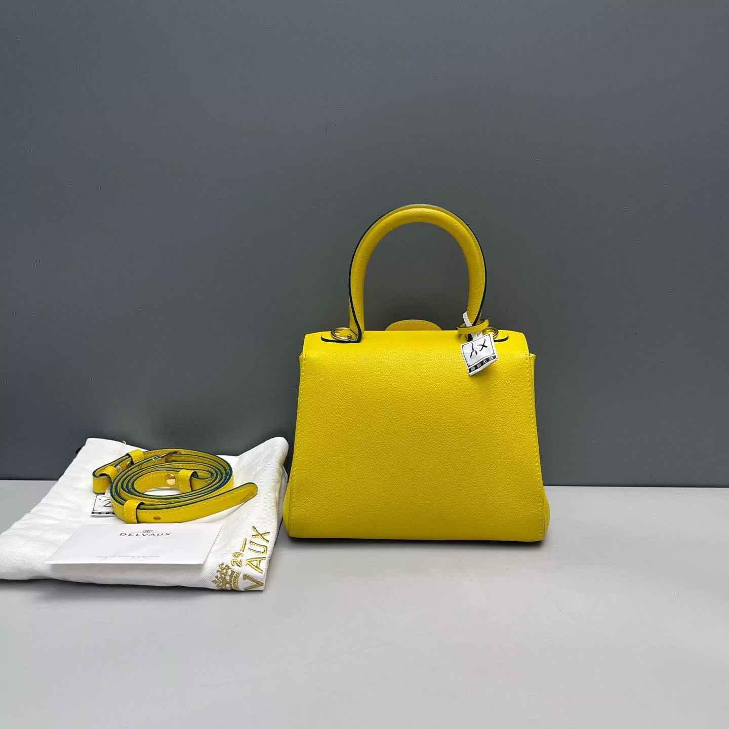 Delvaux - Brilliant Mini - Grained leather - Lemon Yellow with Gold-Tone Hardware - (mini)