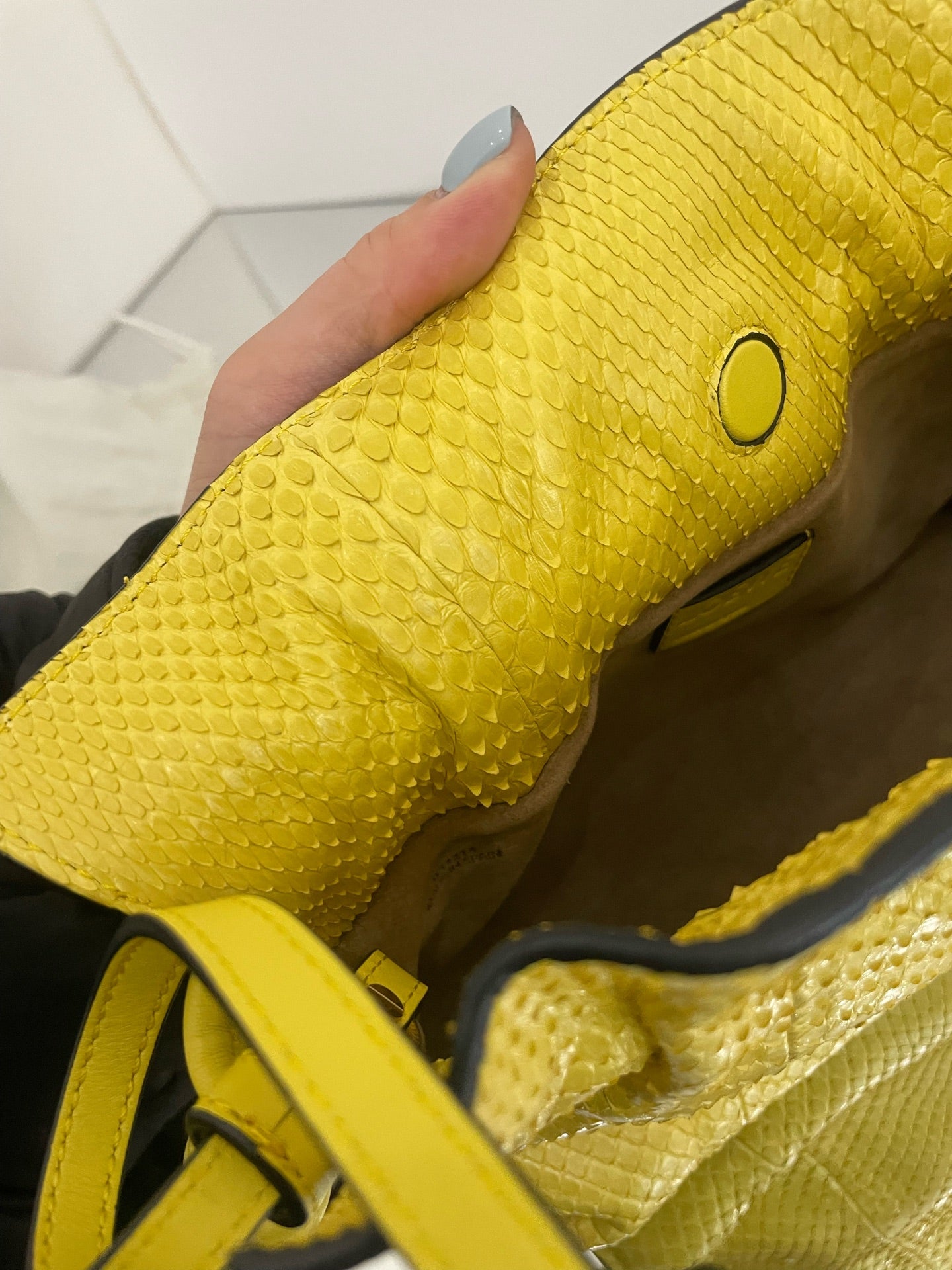 Loewe - Flamenco - Exotic leathers - Python - Yellow - (small)