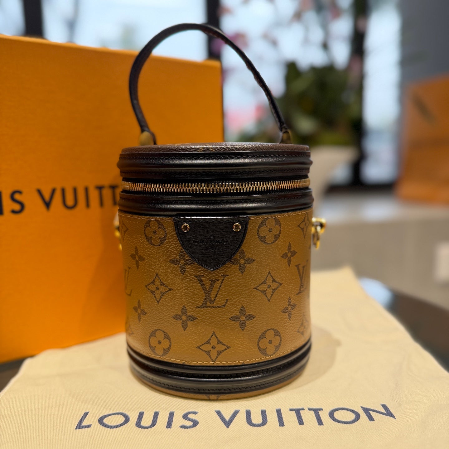 Louis Vuitton - Cannes - Leather - Brown - (mini)