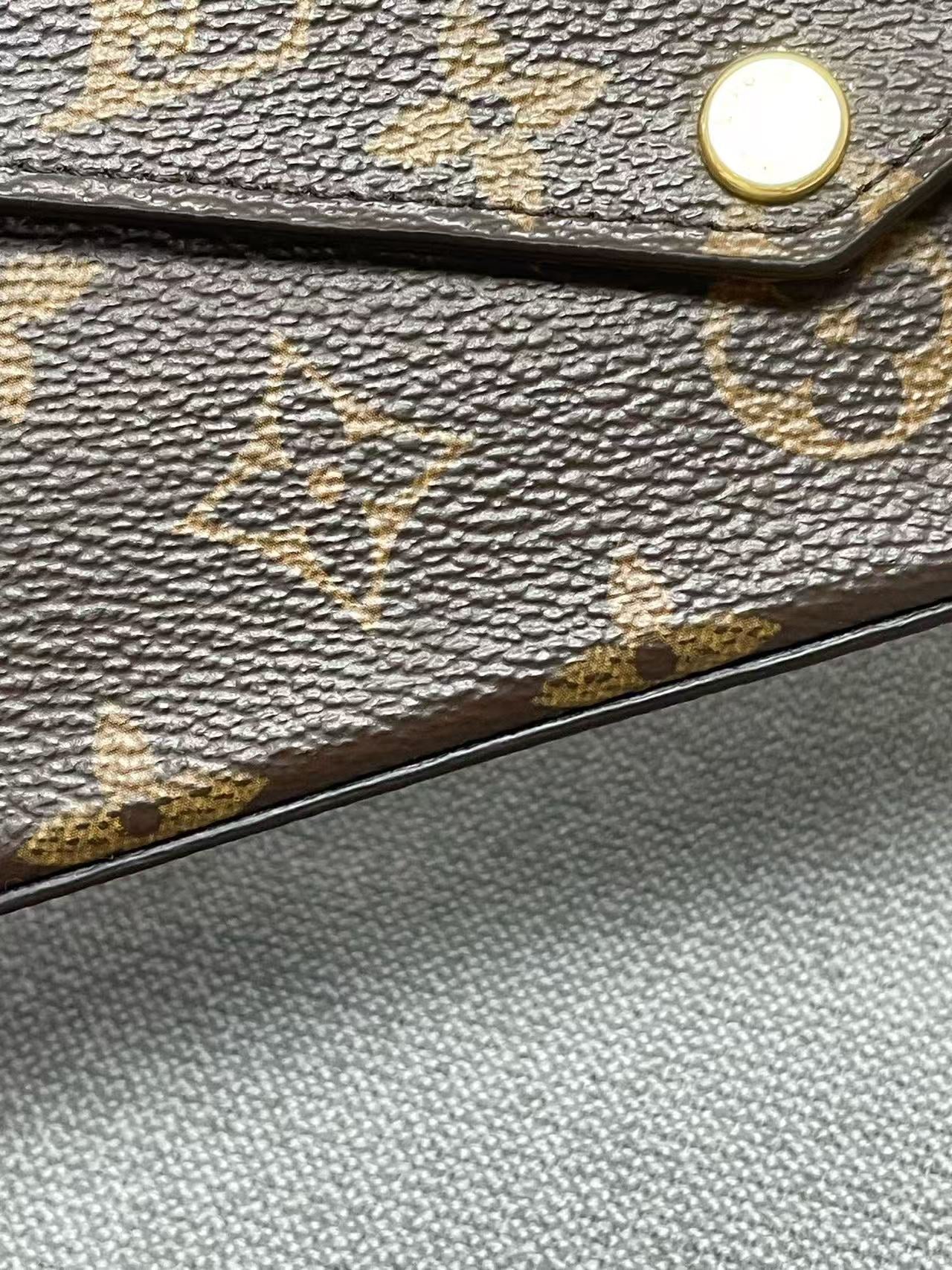 Louis Vuitton - Félicie Pochette - Monogram coated canvas - Brown - (mini)
