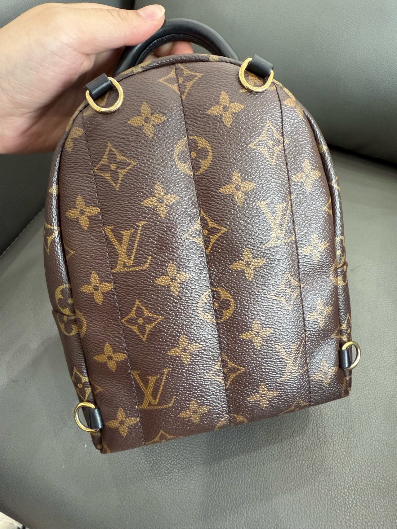 Louis Vuitton - Palm Springs Mini - Leather - Brown - (mini)