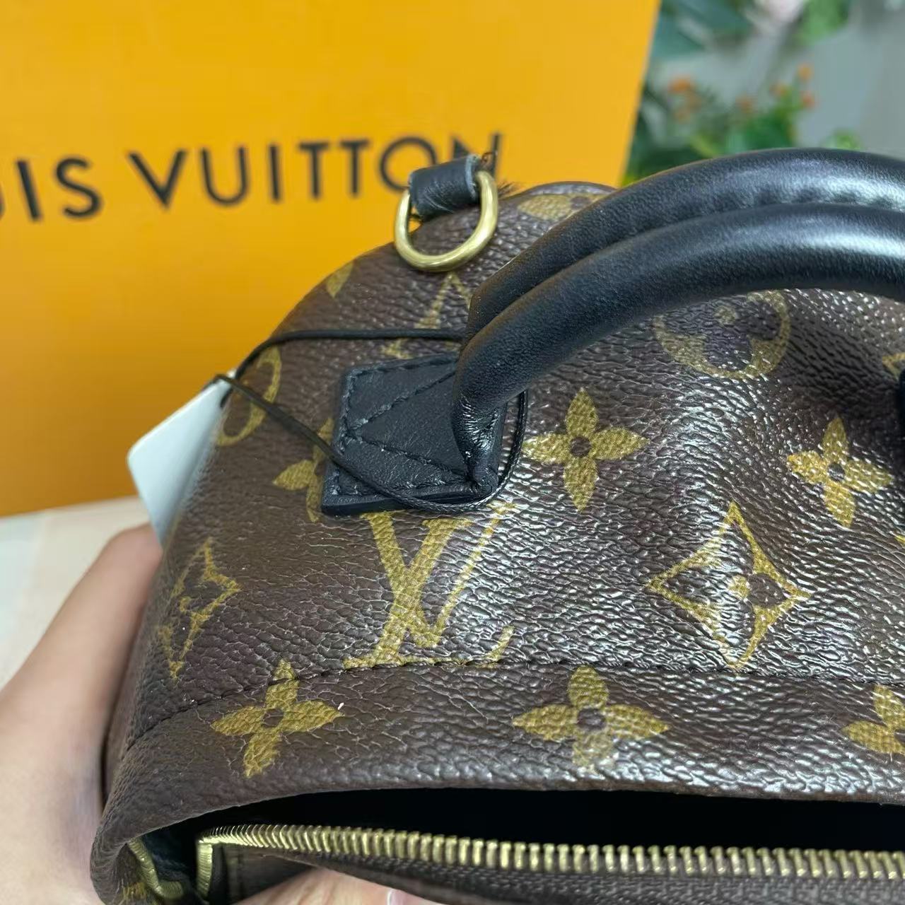 Louis Vuitton - Palm Springs Mini - Monogram Canvas with cowhide leather trim - Brown - (mini)