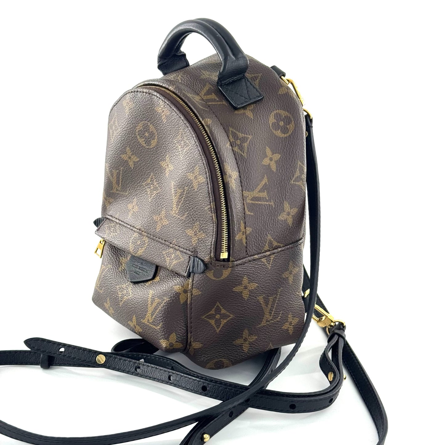 Louis Vuitton - Palm Springs Mini Backpack - Monogram coated canvas with leather trim - Brown - (Mini)