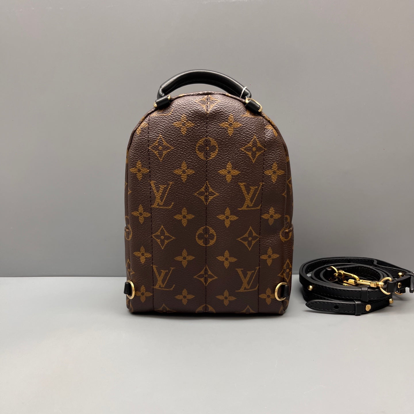 Louis Vuitton - Palm Springs Mini Backpack - Monogram coated canvas with leather trim - Brown - (mini)