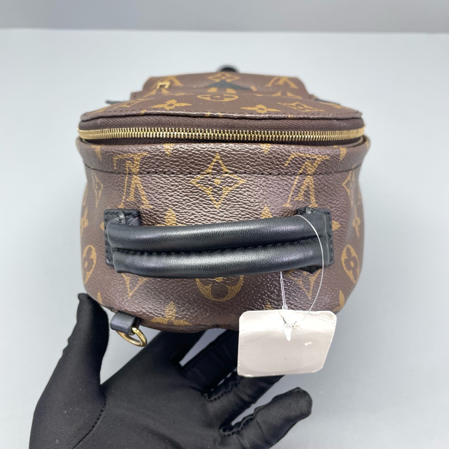 Louis Vuitton - Palm Springs Mini Backpack - Monogram coated canvas with leather trim - Brown - (mini)