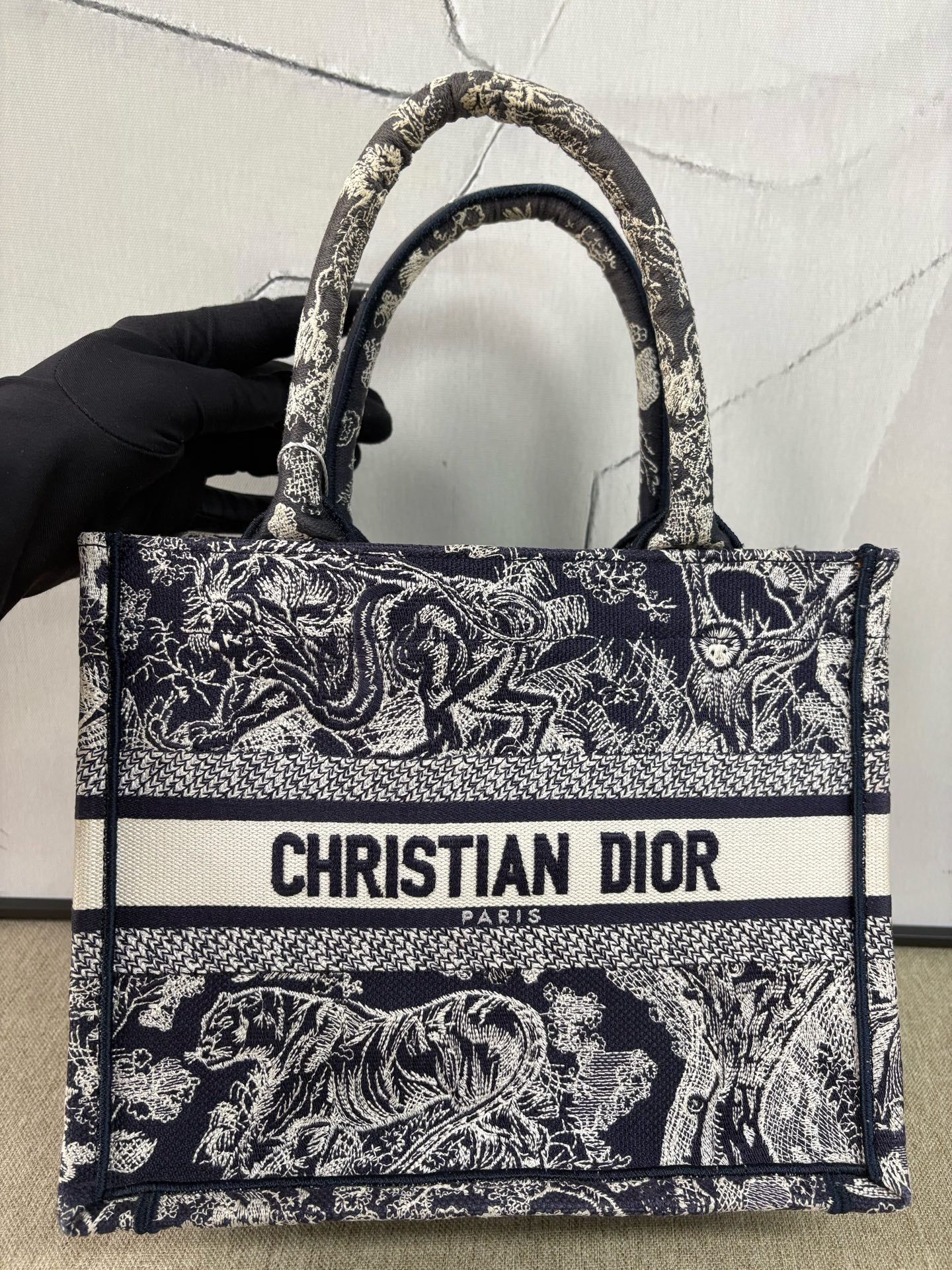 Dior - Book Tote - Canvas - Blue and White - (Small)