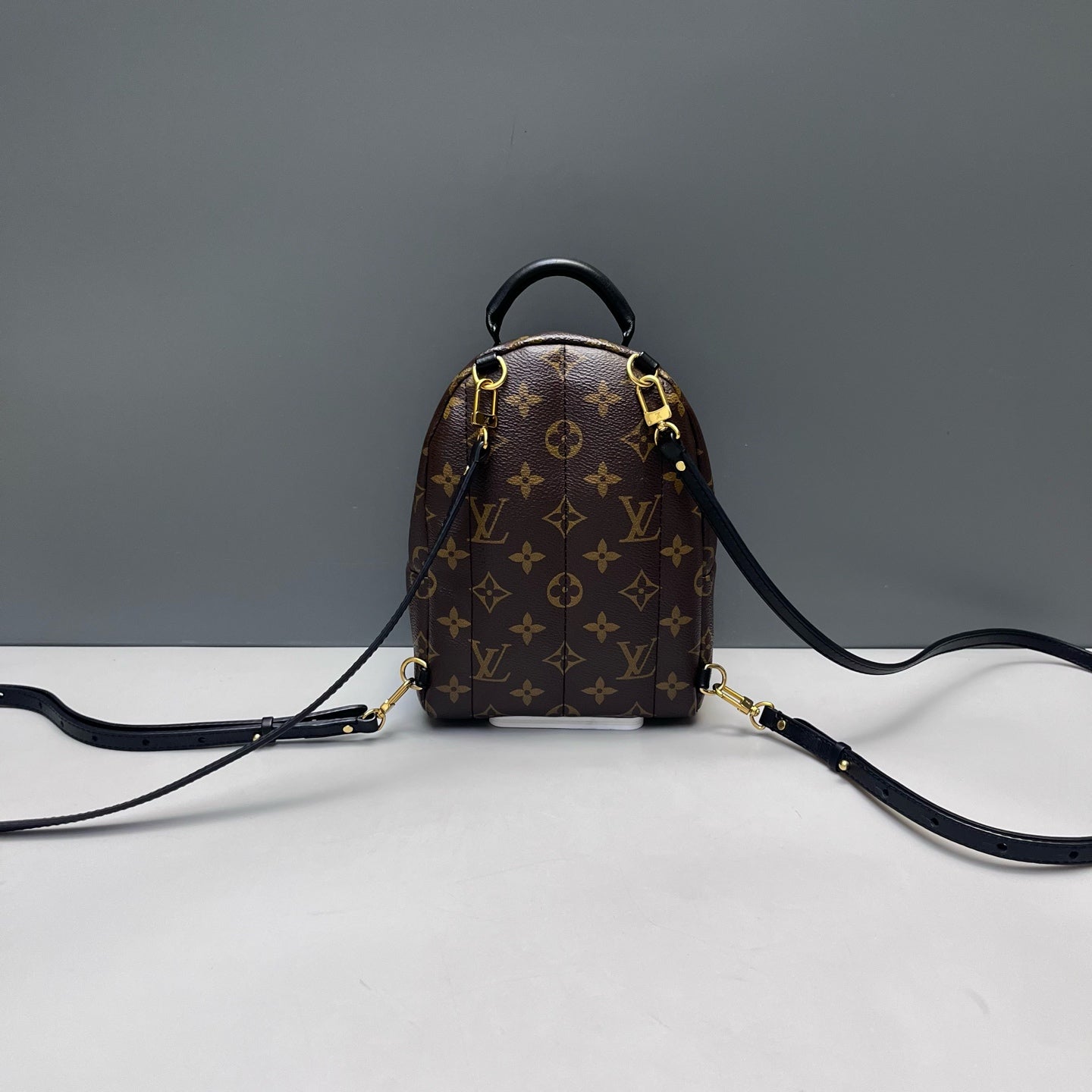 Louis Vuitton - Palm Springs Mini Backpack - Monogram coated canvas with leather trim - Brown - (mini)