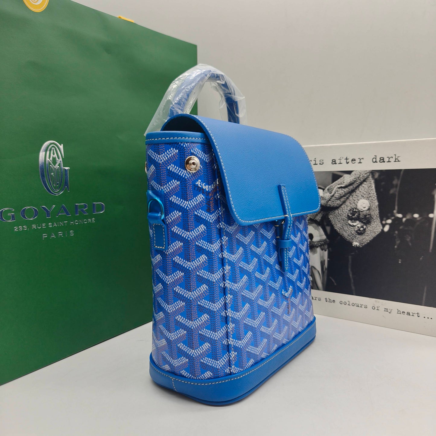 Goyard - Alpin Mini - Goyardine canvas and leather trim - Blue - (mini)