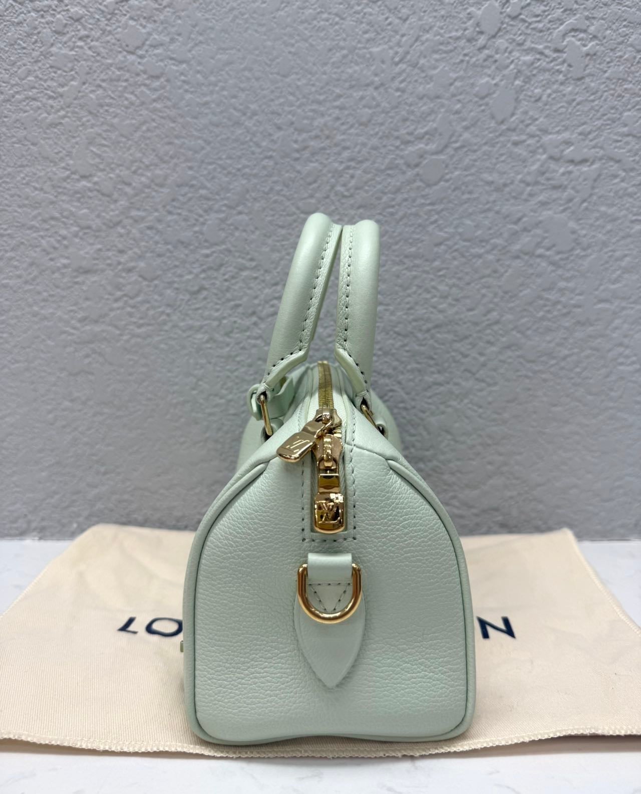 Louis Vuitton - Speedy 18 Valentine's Day Limited Edition - Leather - Green - (mini)