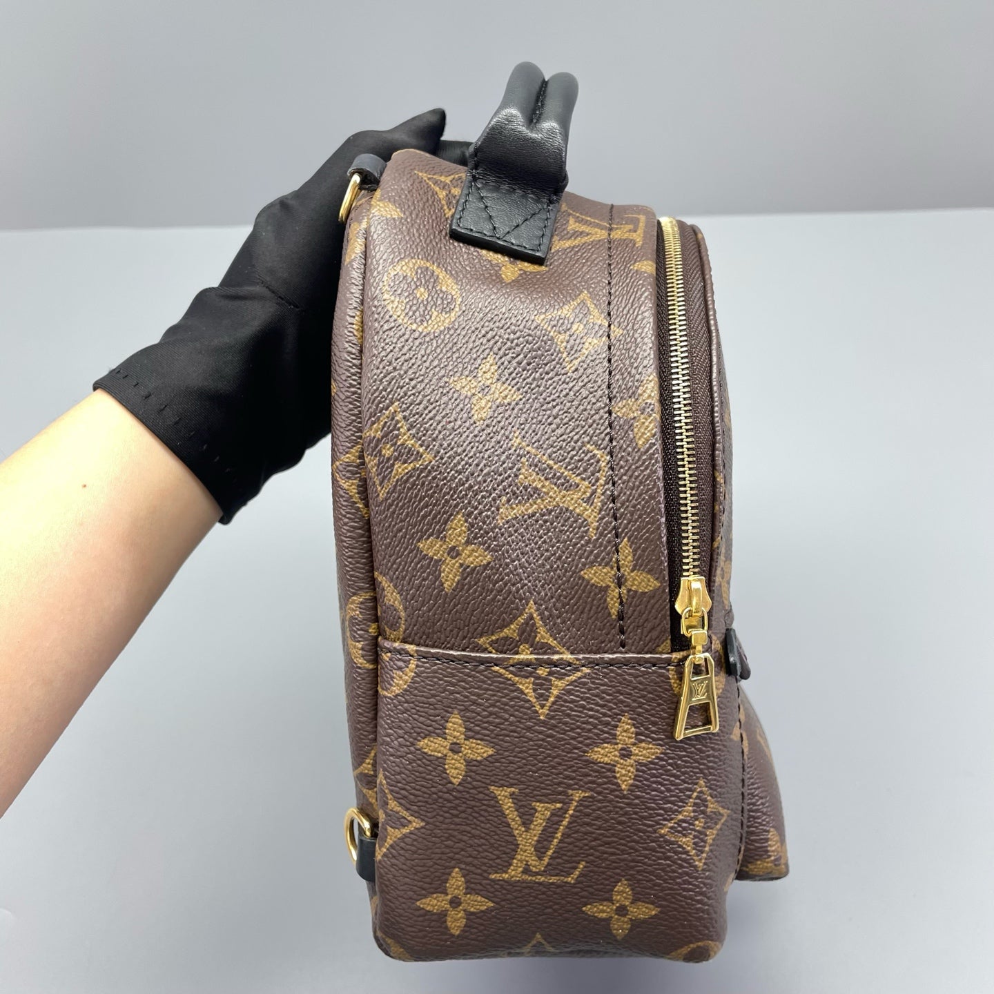 Louis Vuitton - Palm Springs Mini Backpack - Monogram coated canvas with leather trim - Brown - (mini)