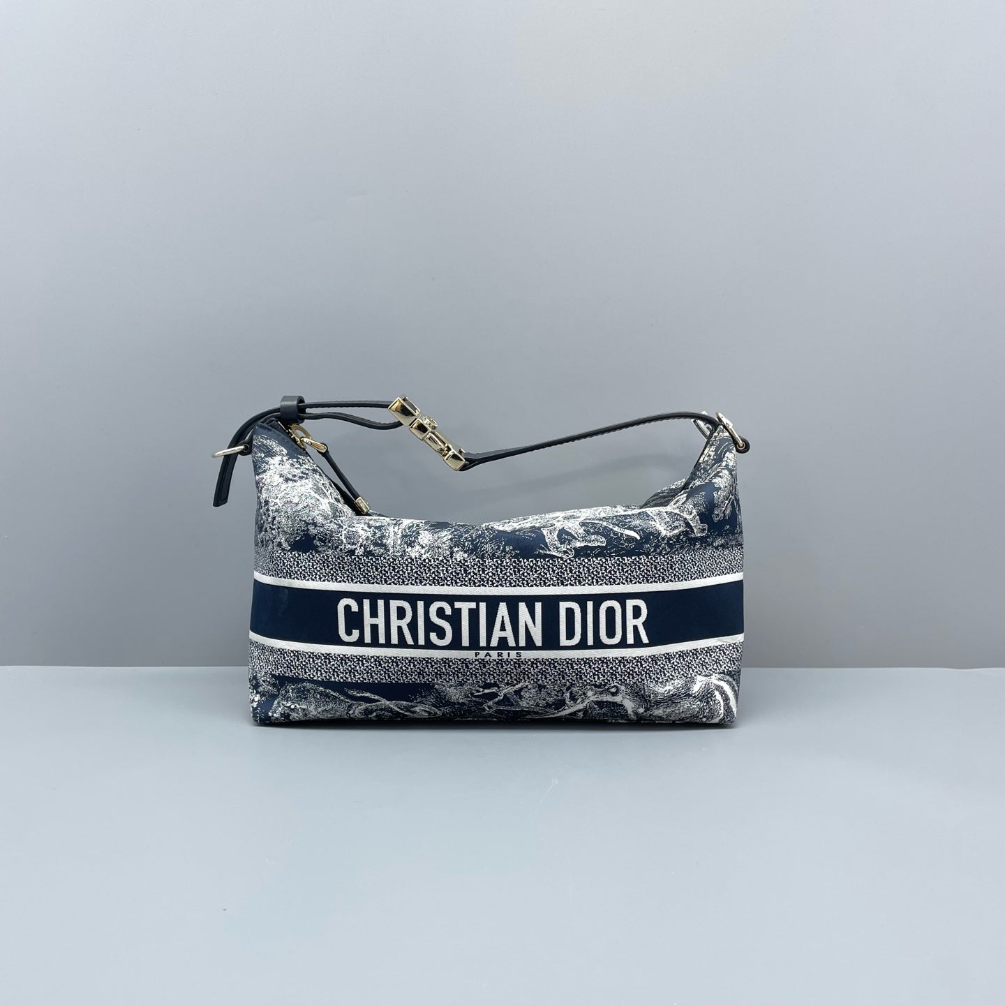 Dior - Dior Animal Kingdom Lunchbox Bag - Canvas with leather trim - Blue - (mini)