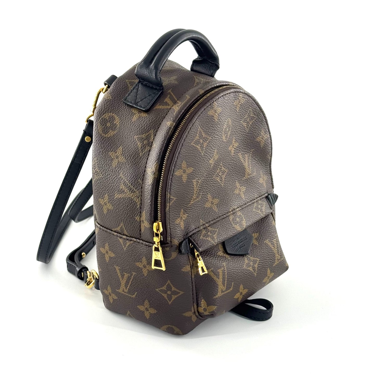 Louis Vuitton - Palm Springs Mini Backpack - Monogram coated canvas with leather trim - Brown - (Mini)