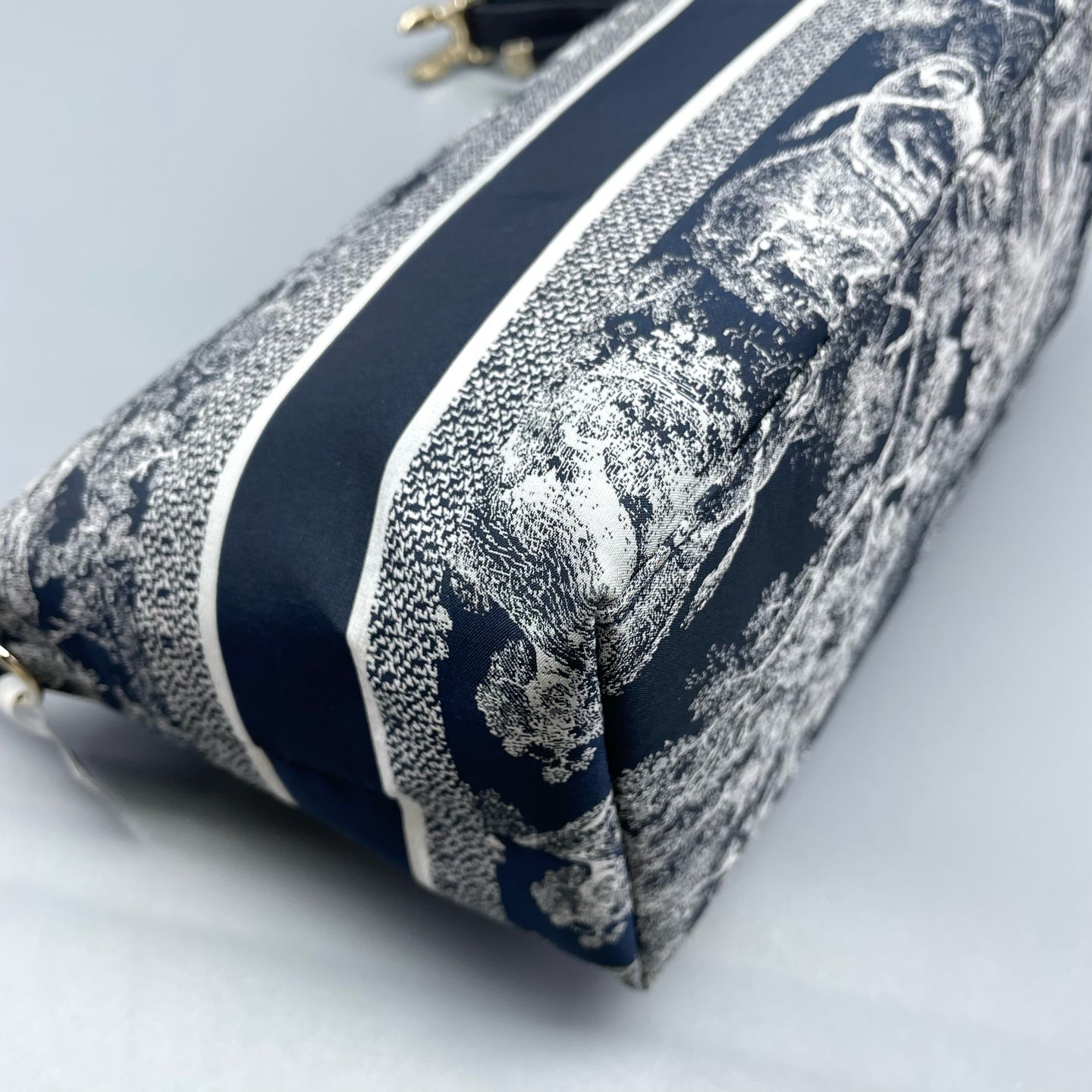 Dior - Dior Animal Kingdom Lunchbox Bag - Canvas with leather trim - Blue - (mini)