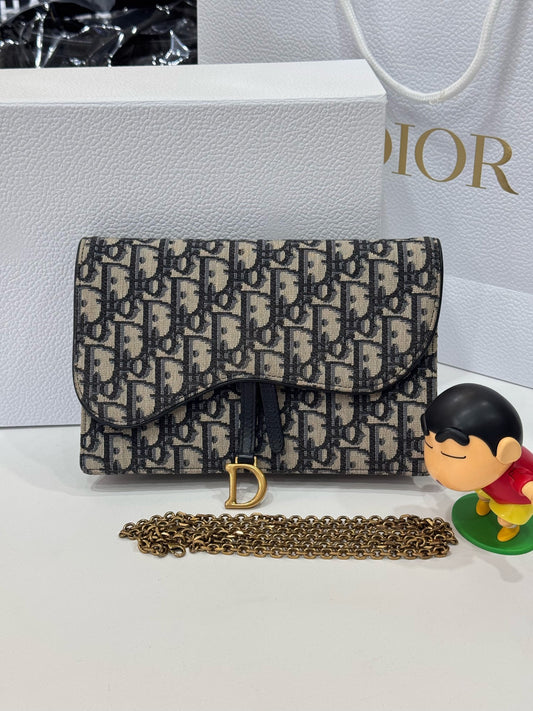 Dior - Saddle WOC (Wallet on Chain) - Dior Oblique jacquard canvas with leather trim - Beige - (mini)