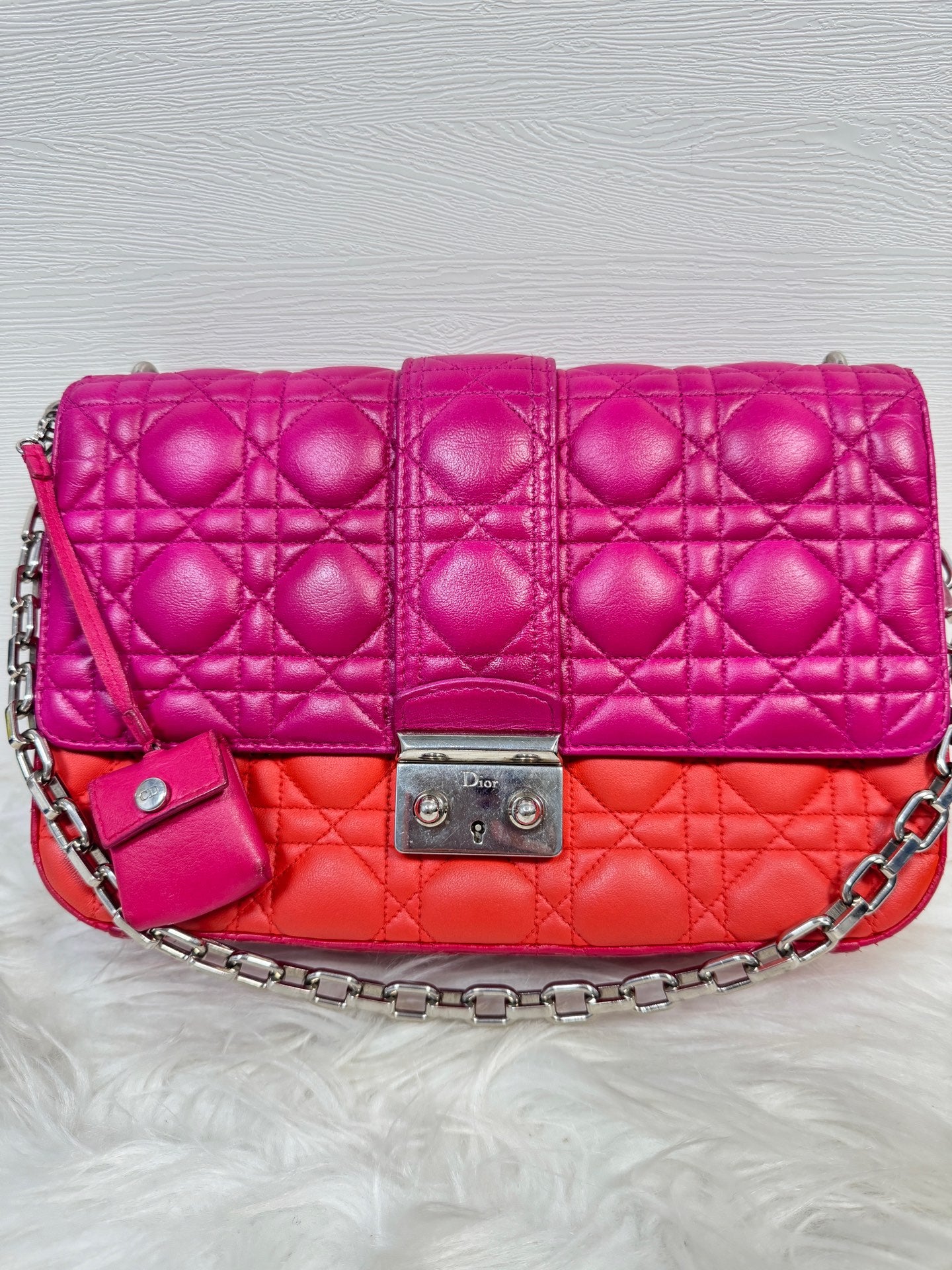 Dior - Diorama Flap Bag - Lambskin leather - Multicolour - (small)