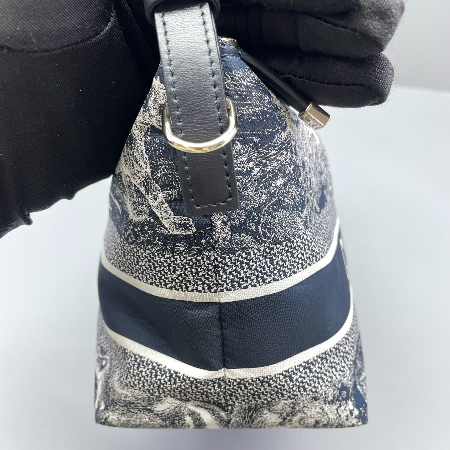 Dior - Dior Animal Kingdom Lunchbox Bag - Canvas with leather trim - Blue - (mini)