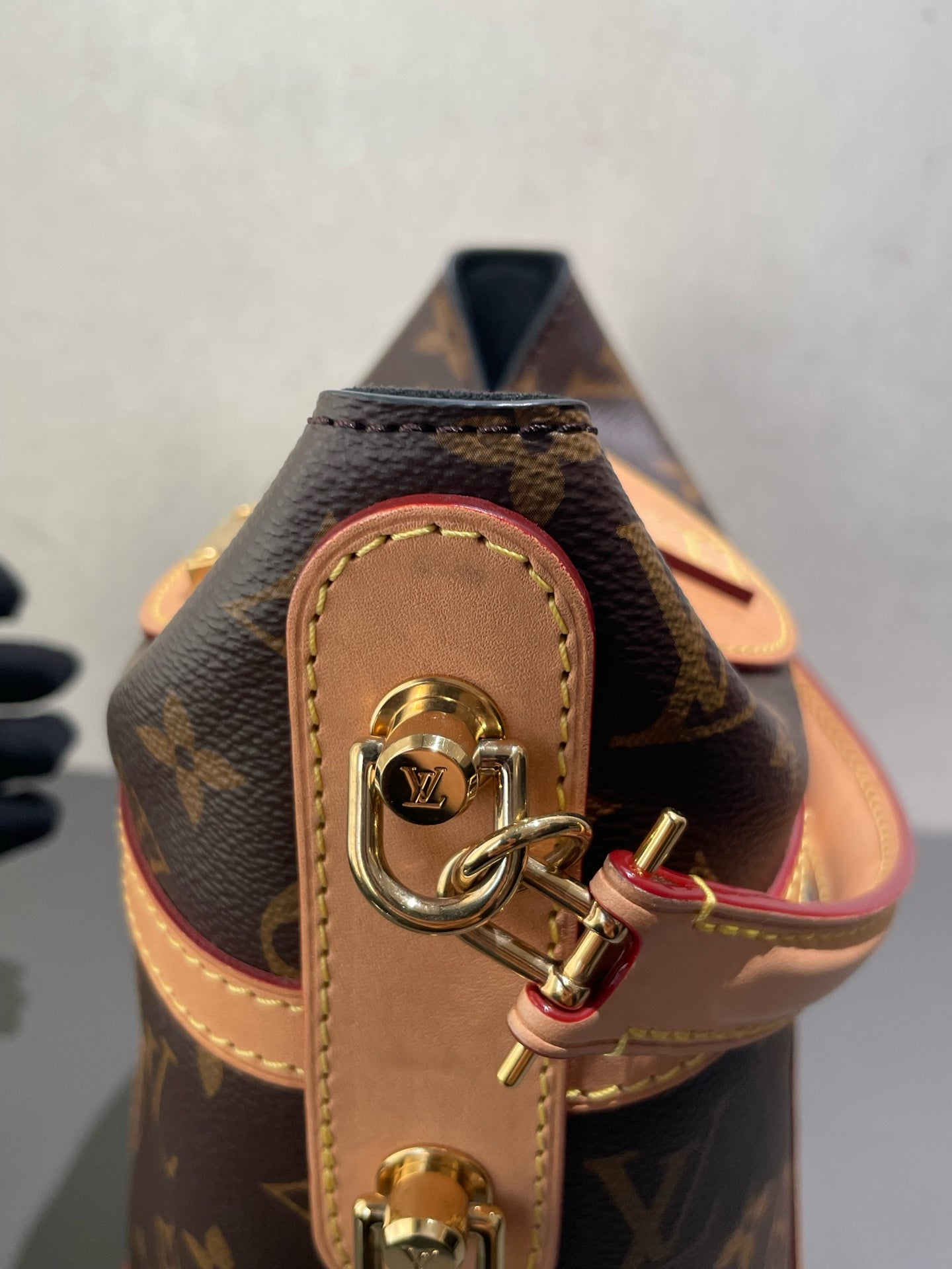 Louis Vuitton - Cannes Bag - Monogram coated canvas and Vachetta leather - Brown - (mini)