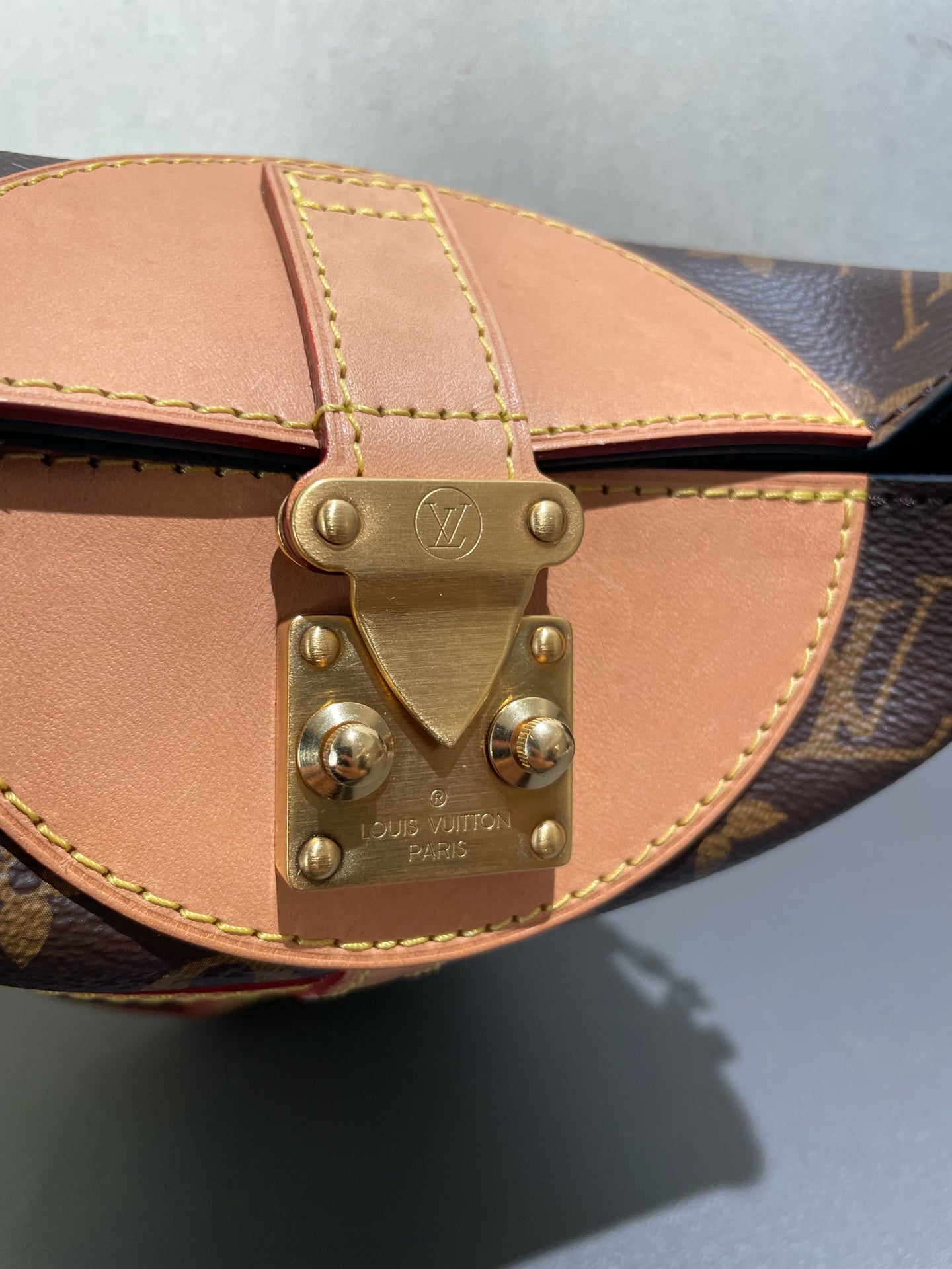 Louis Vuitton - Cannes Bag - Monogram coated canvas and Vachetta leather - Brown - (mini)