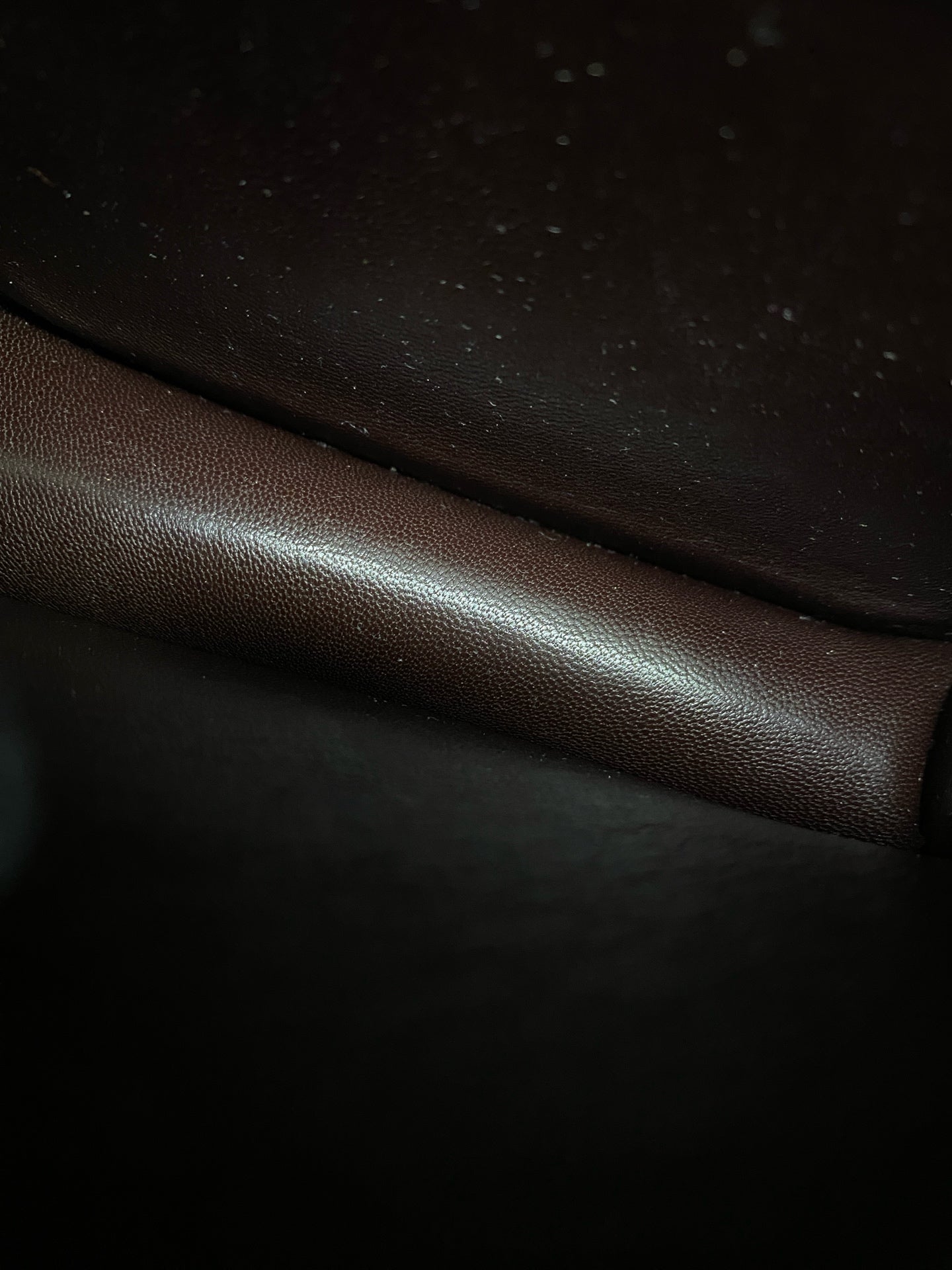Celine - Box - Exotic leathers - Python - Multicolour - (mini)
