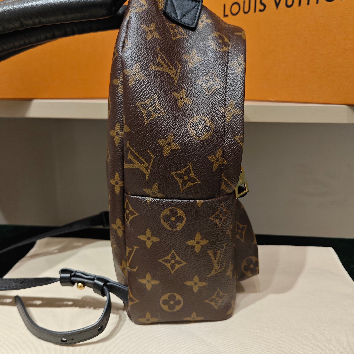 Louis Vuitton - Palm Springs Mini Backpack - Monogram coated canvas and leather - Brown - (mini)