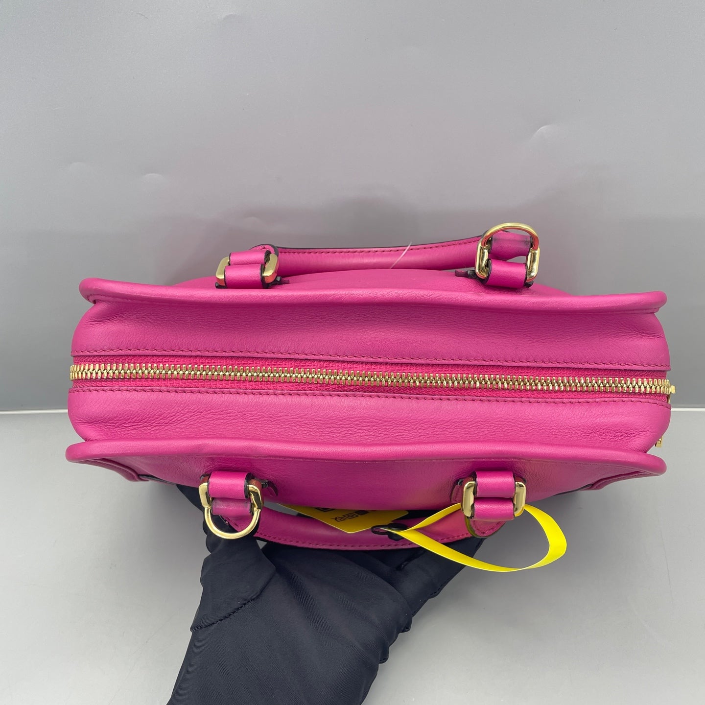 Loewe - Amazona - Grained leather - Fuchsia Pink with Gold-Tone Hardware - (mini)