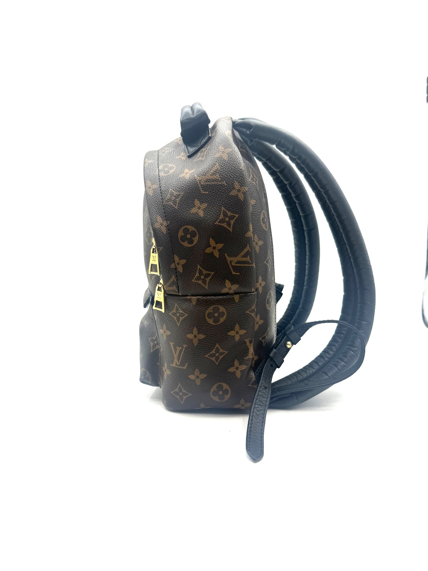 Louis Vuitton - Palm Springs Mini Backpack - Coated canvas and soft cowhide leather - Brown and Black - (mini)