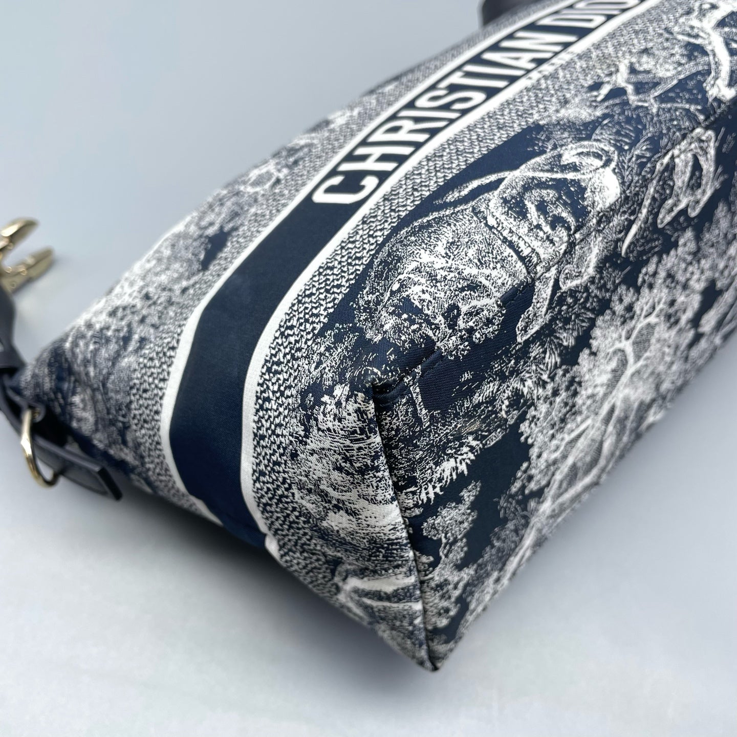 Dior - Dior Animal Kingdom Lunchbox Bag - Canvas with leather trim - Blue - (mini)