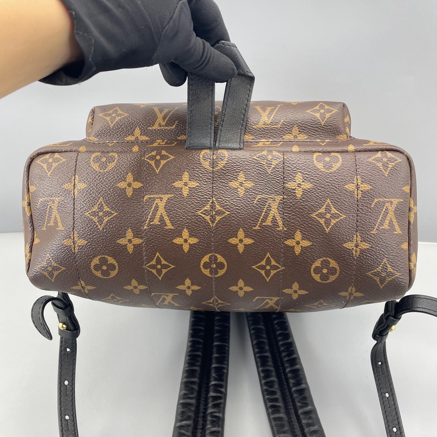Louis Vuitton - Palm Springs Backpack - Monogram coated canvas with leather trim - Brown - (Medium)