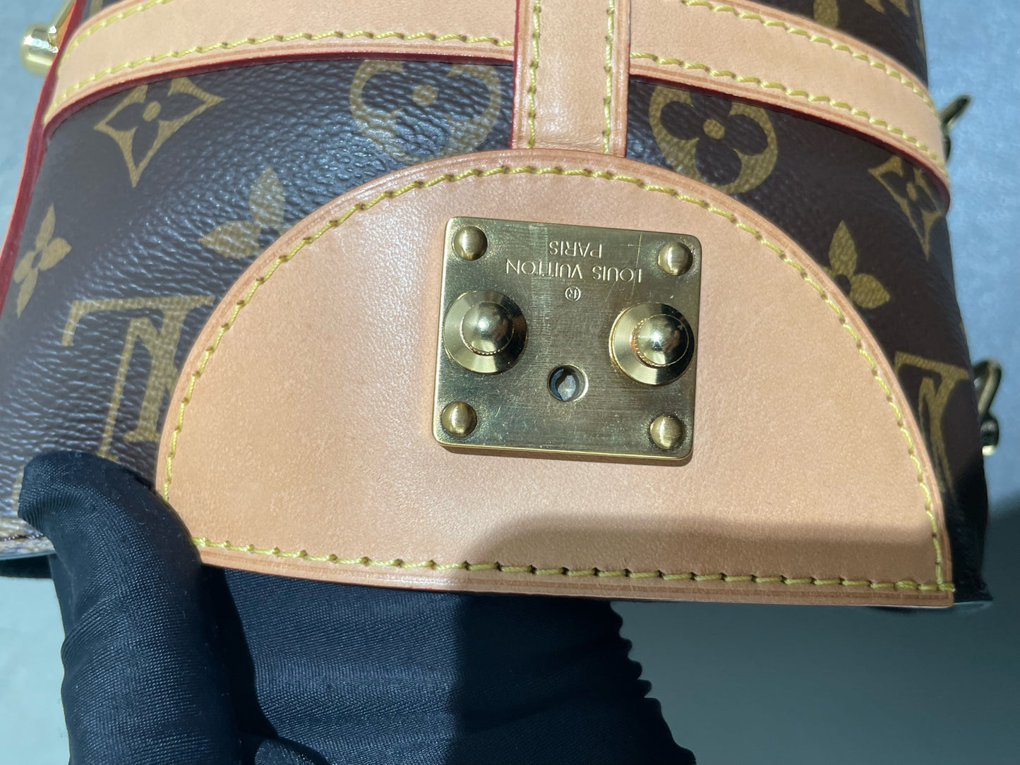 Louis Vuitton - Cannes Bag - Monogram coated canvas and Vachetta leather - Brown - (mini)