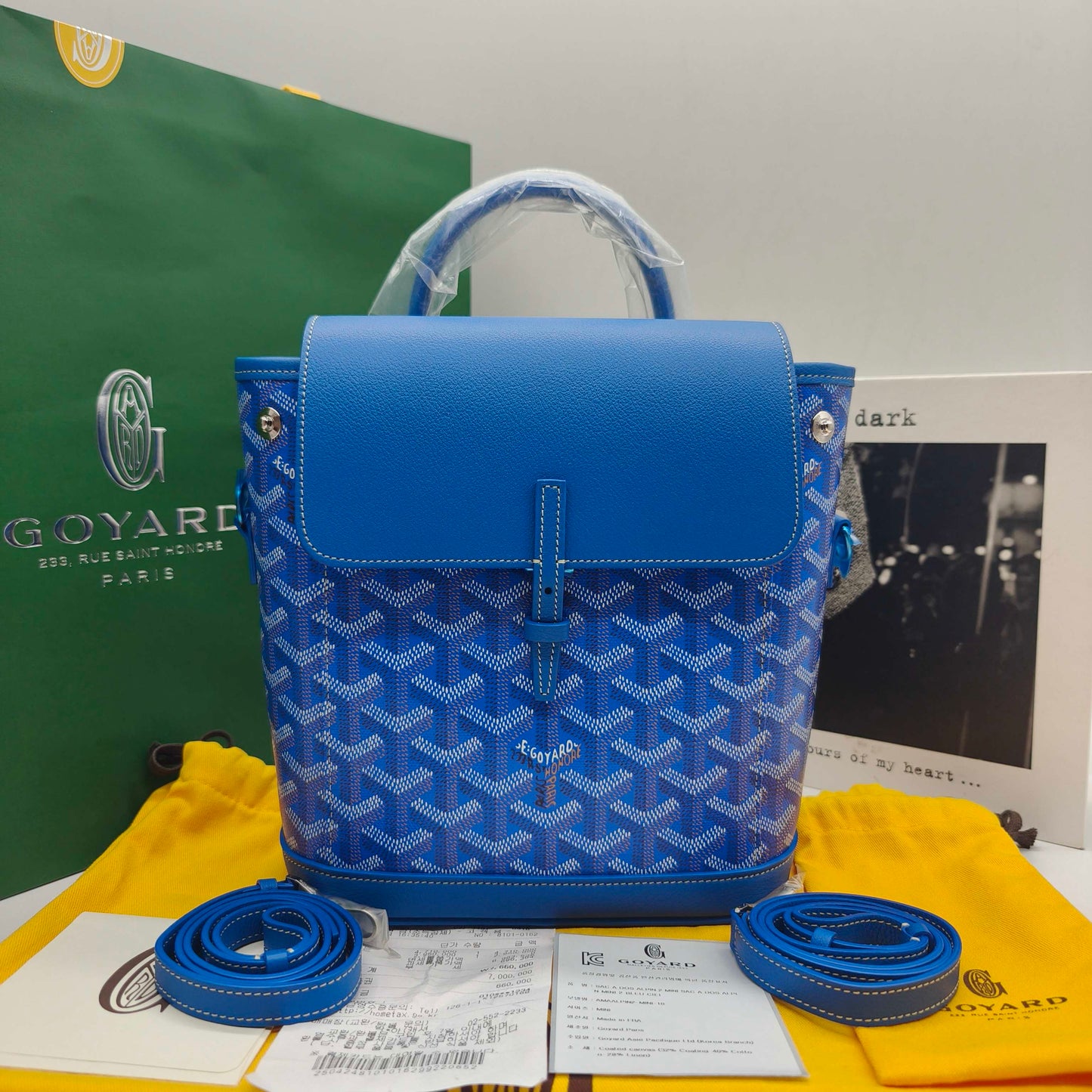 Goyard - Alpin Mini - Goyardine canvas and leather trim - Blue - (mini)