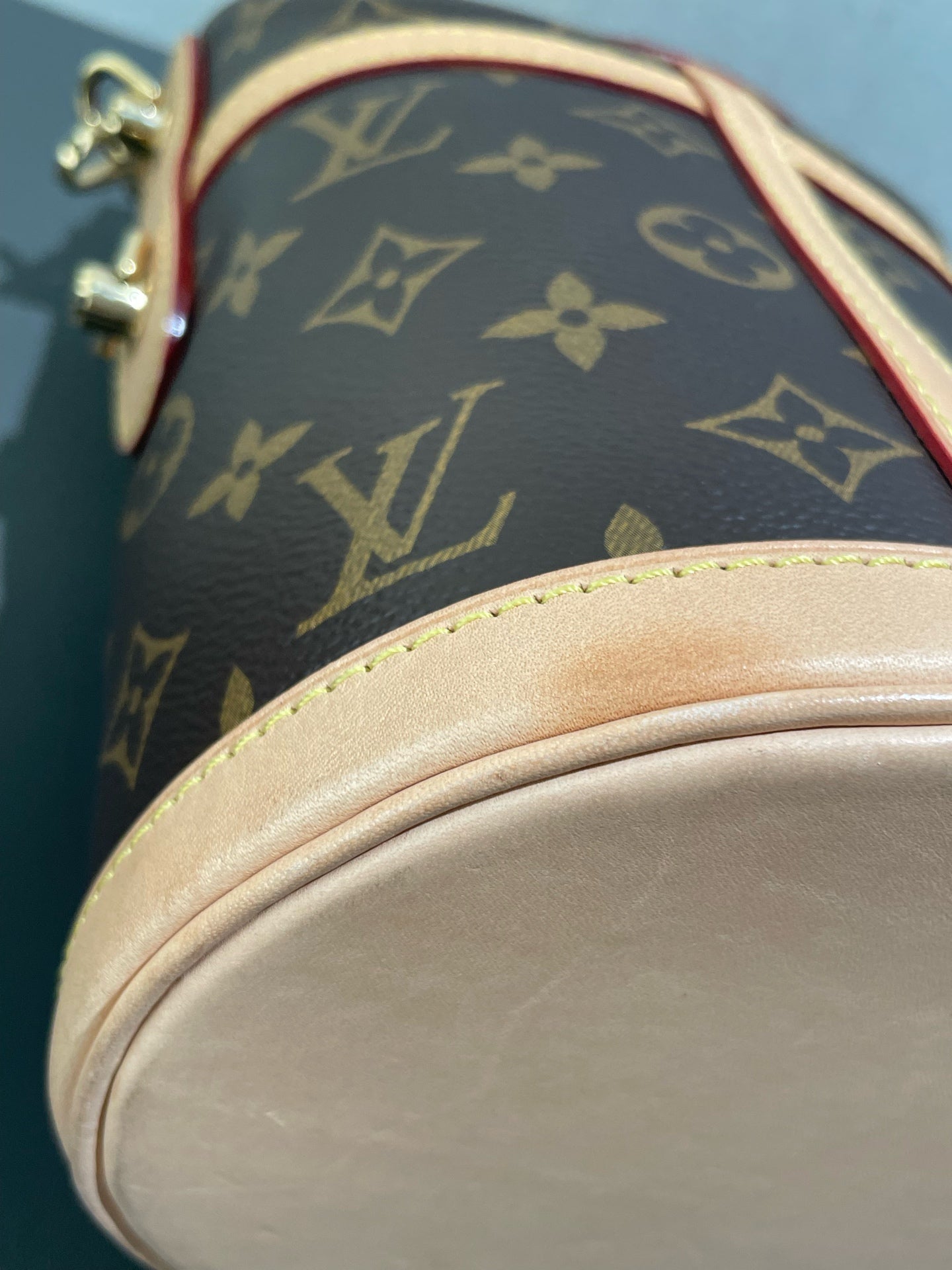Louis Vuitton - Cannes Bag - Monogram coated canvas and Vachetta leather - Brown - (mini)