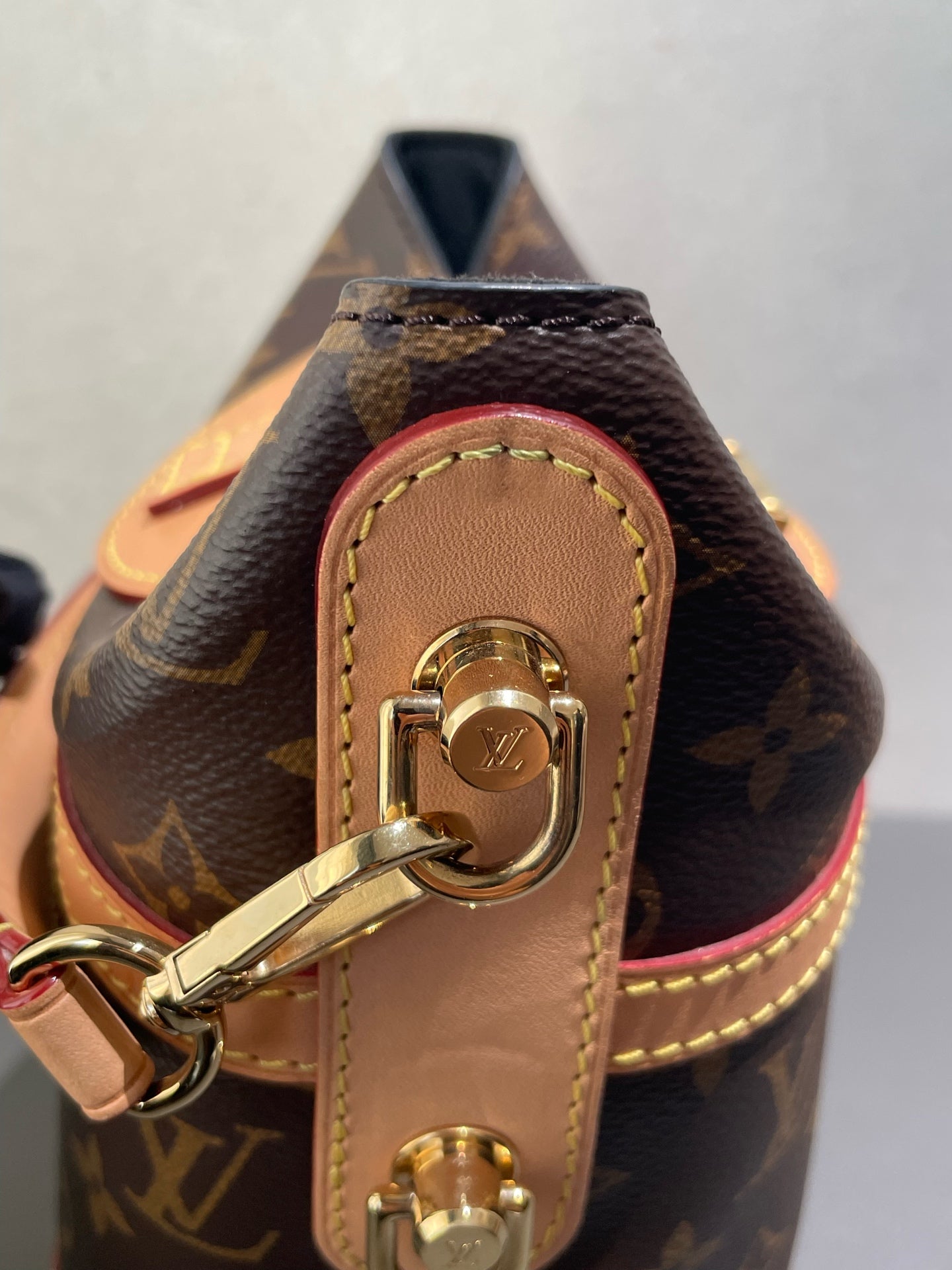 Louis Vuitton - Cannes Bag - Monogram coated canvas and Vachetta leather - Brown - (mini)