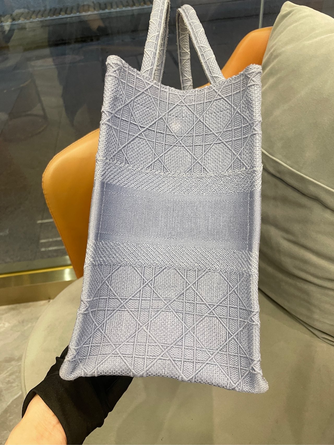 Dior - Book Tote - Embroidered technical fabric - Haze Blue - (Medium)