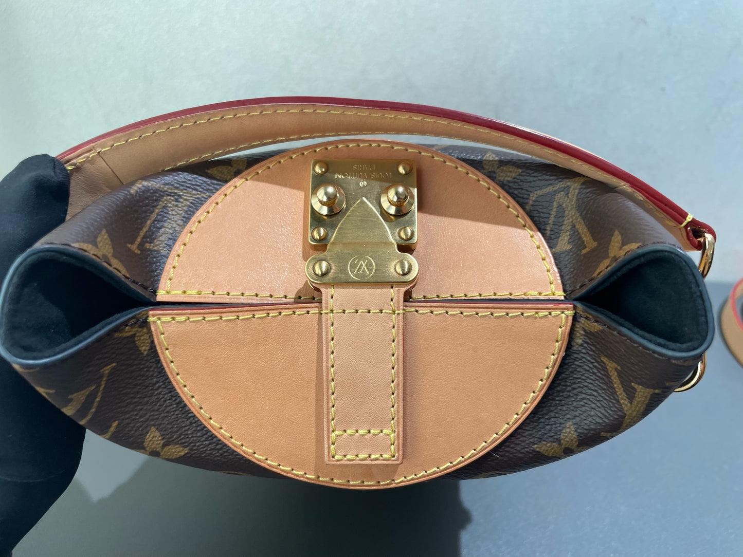 Louis Vuitton - Cannes Bag - Monogram coated canvas and Vachetta leather - Brown - (mini)
