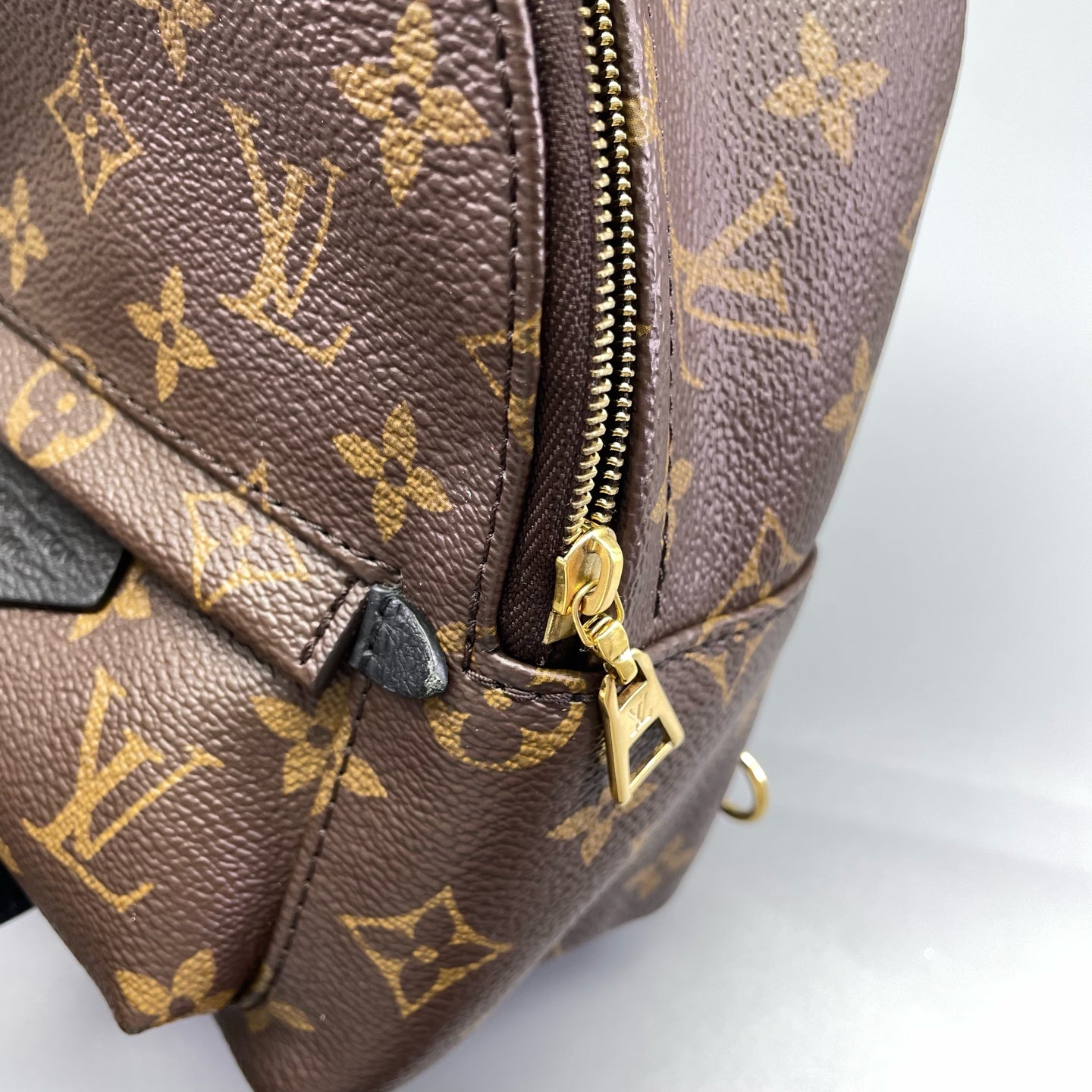 Louis Vuitton - Palm Springs Mini Backpack - Monogram coated canvas with leather trim - Brown - (mini)