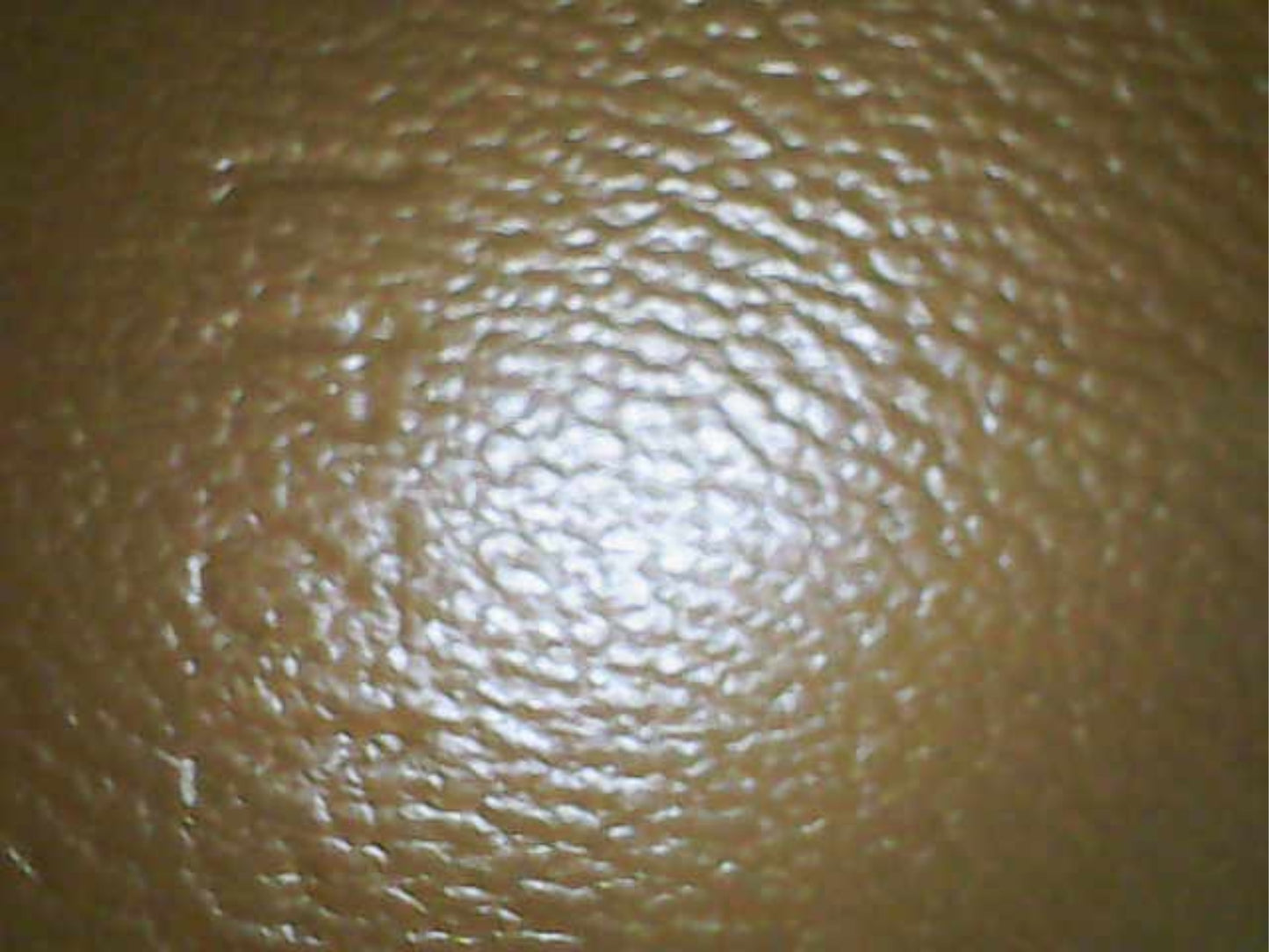 Celine - Classic Box Bag - Leather - Brown - (small)