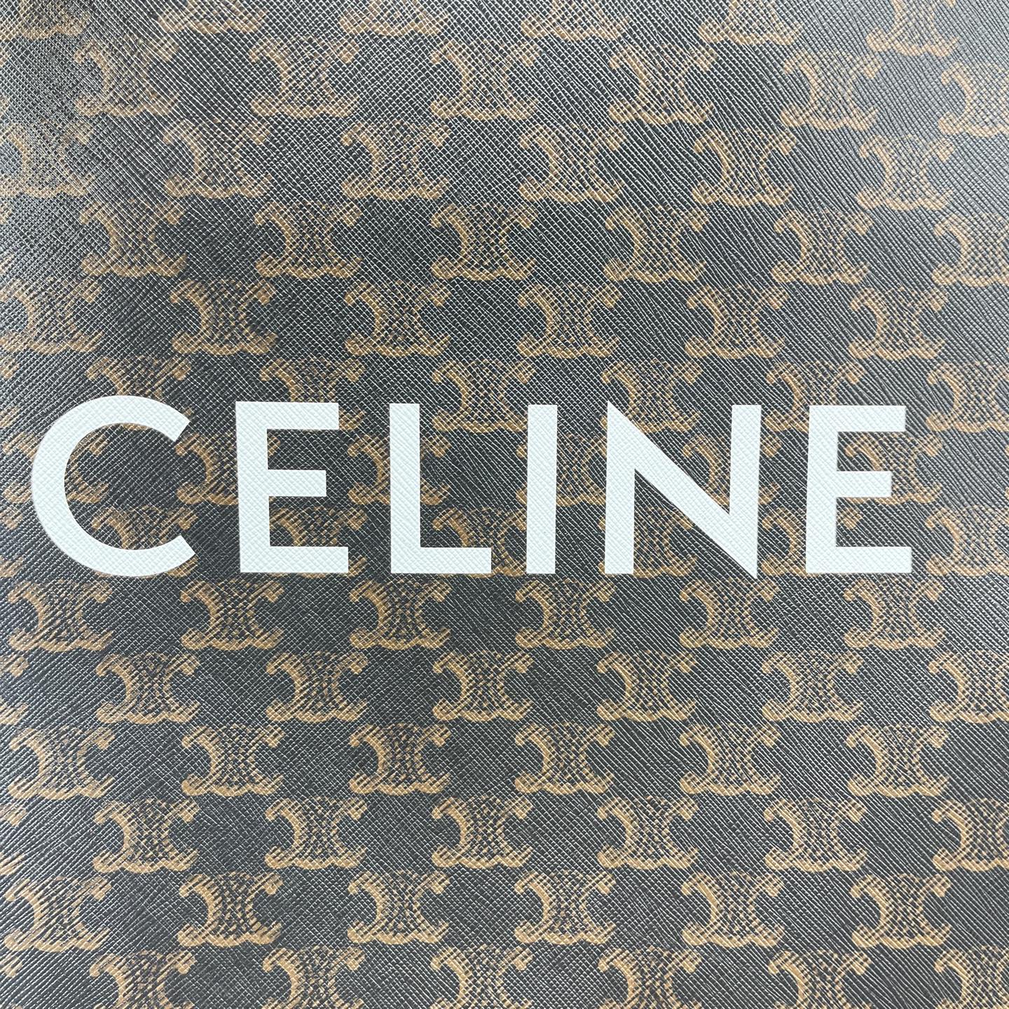 Celine - Small Vertical Cabas Triomphe Canvas with Celine Print - Coated canvas with leather trim - Brown - (small)