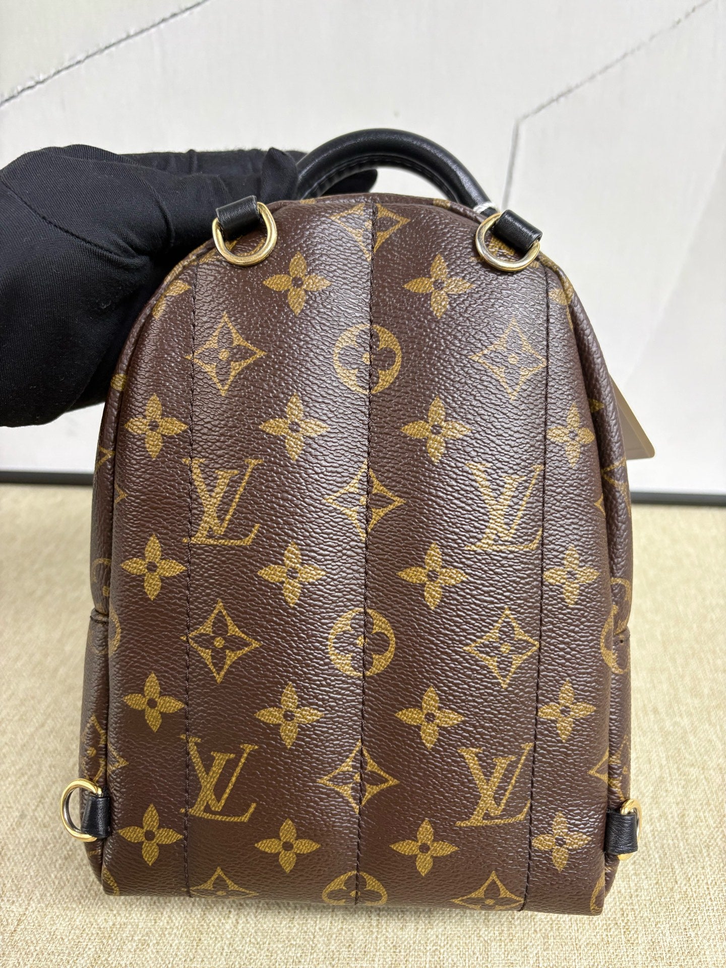 Louis Vuitton - Palm Springs Mini Backpack - Monogram coated canvas with leather trim - Brown - (mini)