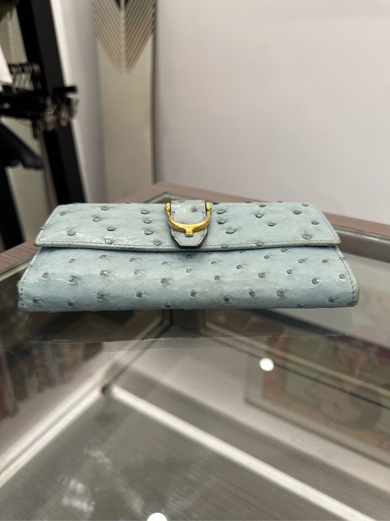 Gucci - Ostrich Leather Flap Wallet - Ostrich leather - Sky Blue with Gold-Tone Hardware - (Medium)
