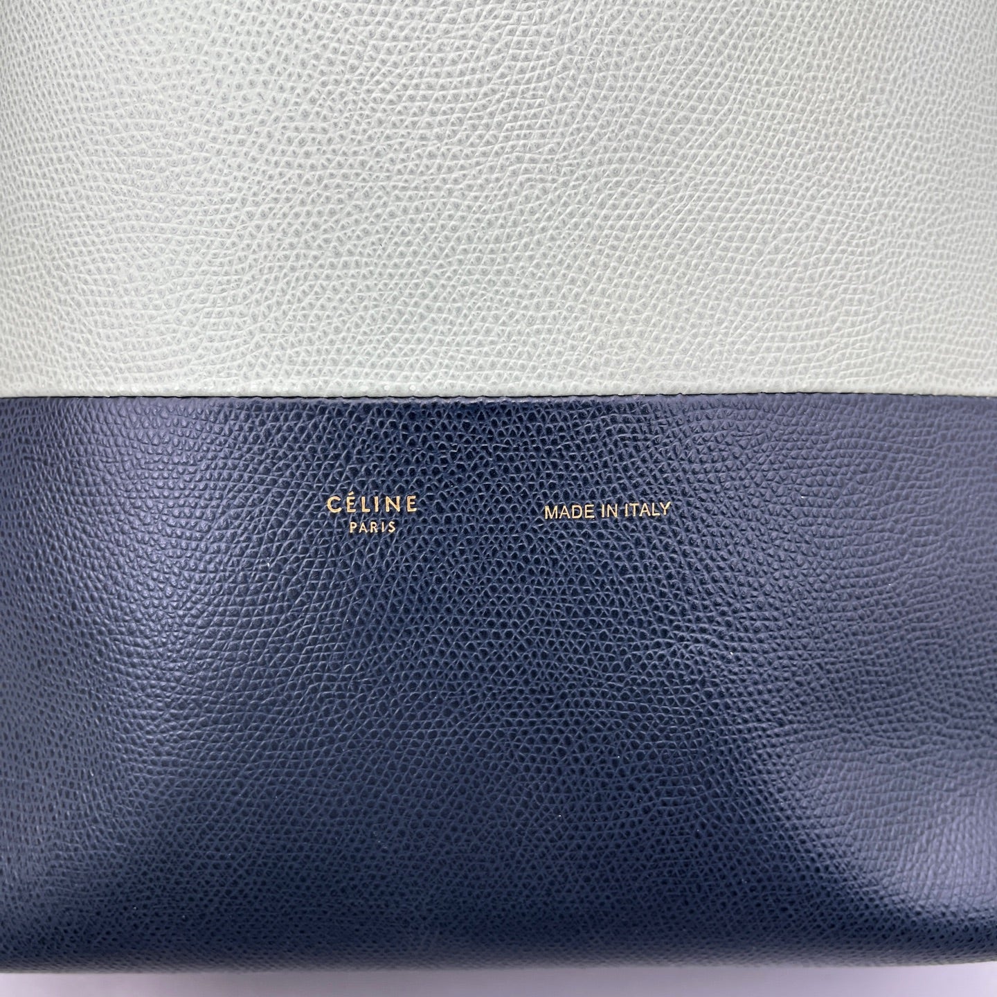 Celine - Bicolor Vertical Cabas Tote - Grained leather - Bicolor (Mint Green and Dark Grey) - (medium)