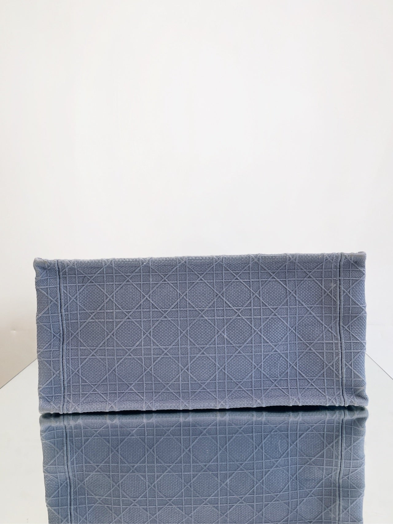 Dior - Book Tote - Embroidered technical fabric - Haze Blue - (Medium)