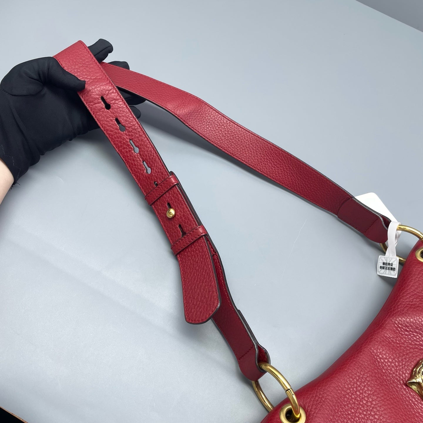 Gucci - Dionysus Tiger Head Saddle Bag - Grained leather - Red - (medium)